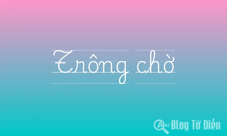 Trông Chờ Là Gì? Gallery 2