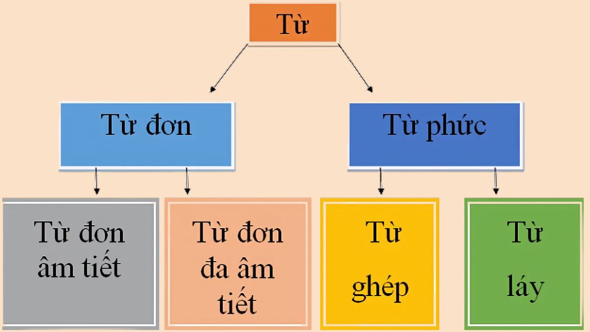Ví dụ về từ đơn