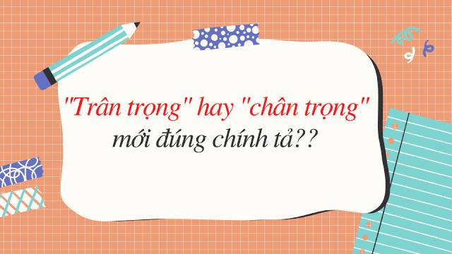 Traân Trọng Cảm Ơn: Cách Biểu Đạt Lòng Biết Ơn Thật Sự Gallery 2
