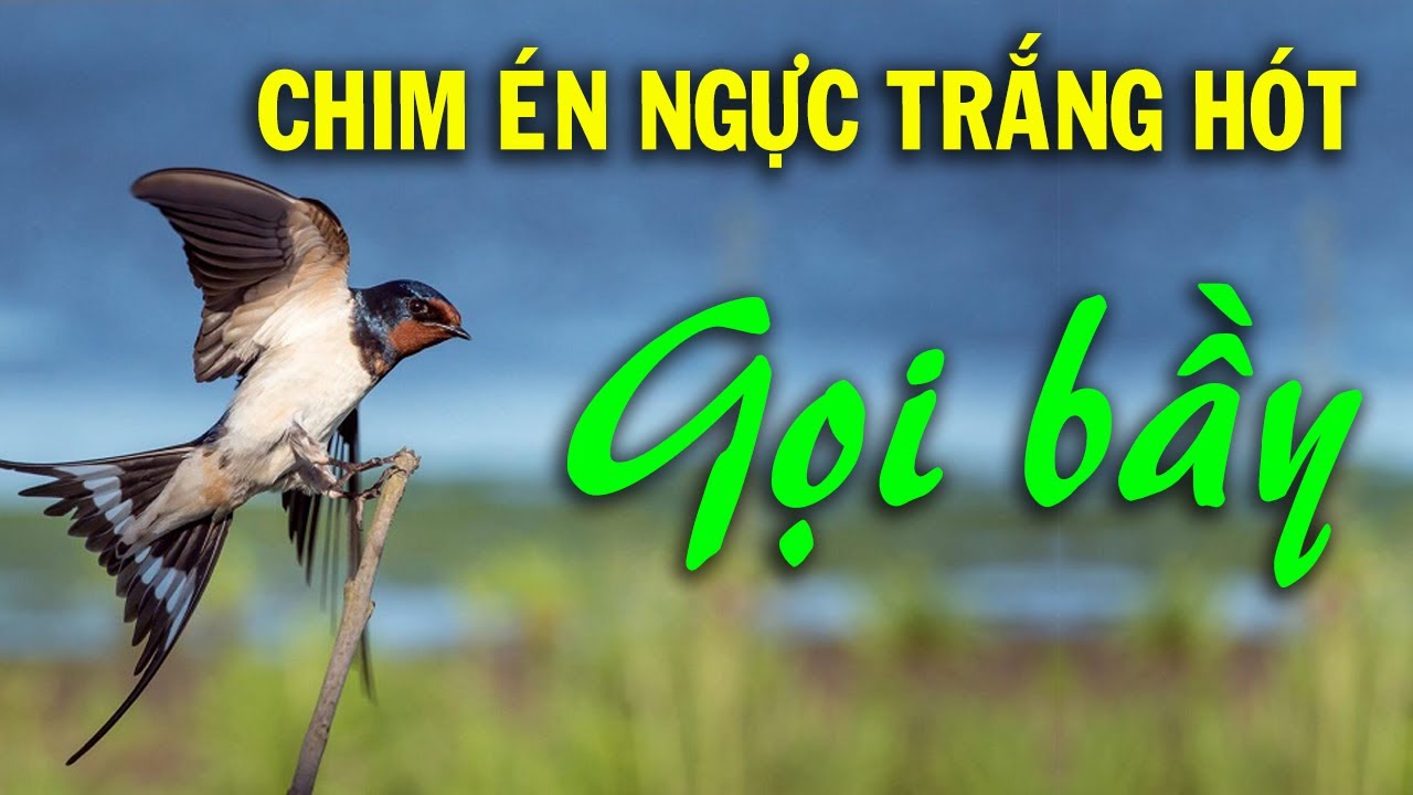 Chim Én Gọi Bầy: Tiếng Gọi Xuân Về Gallery 1