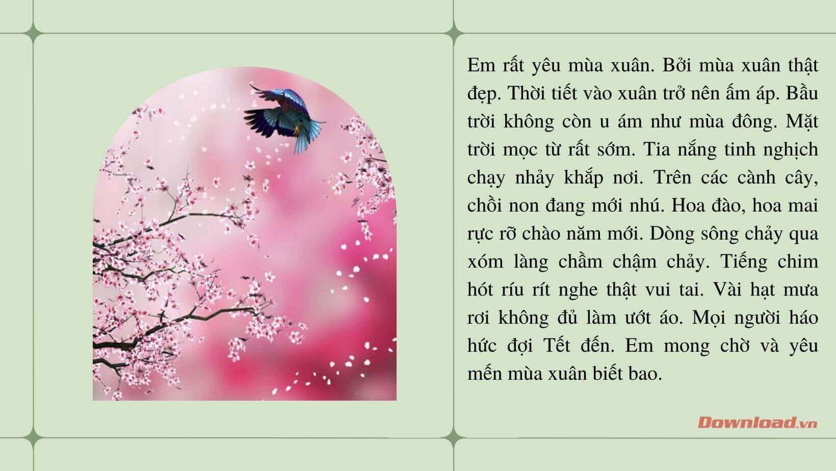 Mùa Xuân - Mùa em yêu thích Gallery 1