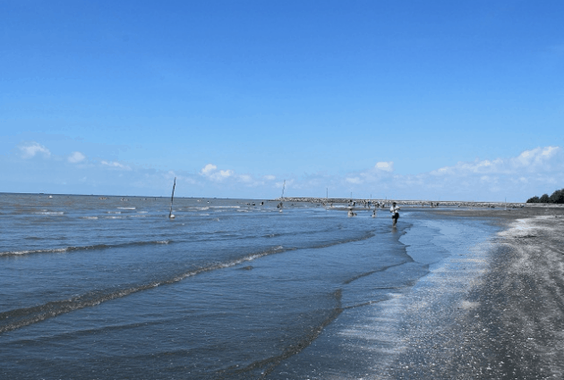 Biển Cần Giờ Có Tắm Được Không? Gallery 1