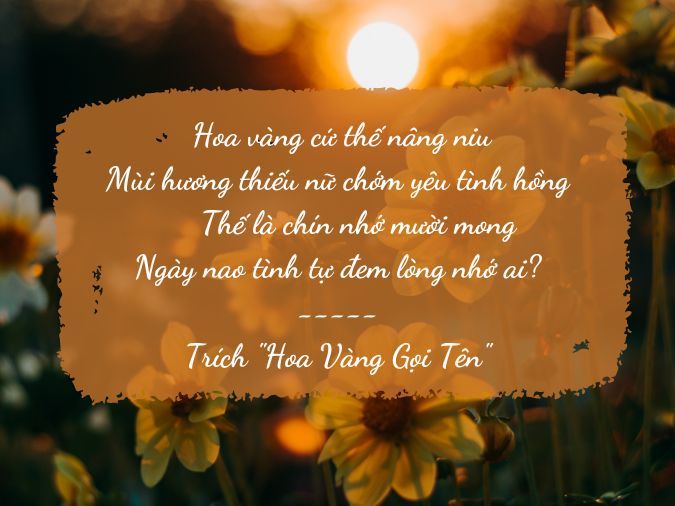 STT Hài Hước Về Màu Vàng: Cười Ngất Ngây Với Những Câu Nói Bá Đạo Gallery 1