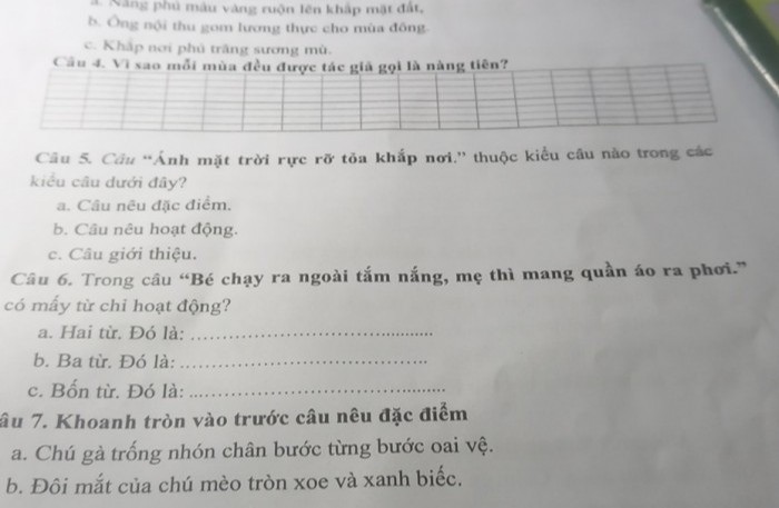 Vì sao mỗi mùa đều được tác giả gọi là nàng tiên? Gallery 2