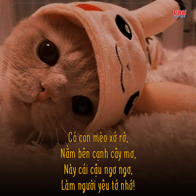 Tỏ Tình Bằng Thơ: Những Bài Thơ Hay Và Ý Tưởng Lãng Mạn Gallery 1