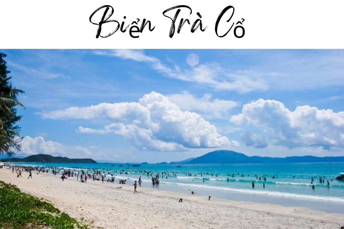 Bãi biển Trà Cổ ở đâu? Gallery 1