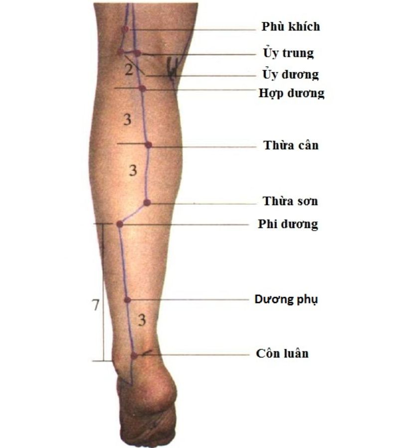 Cẳng Chân Ở Đâu? Gallery 2