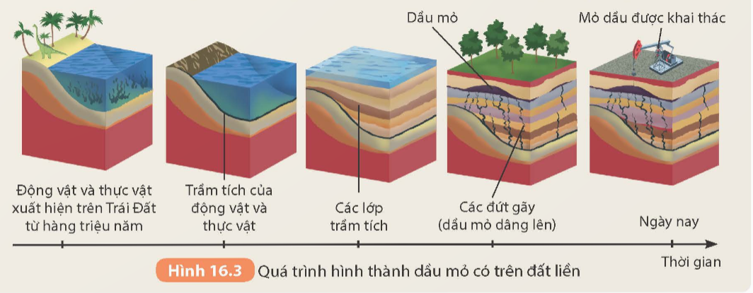 Trong tự nhiên dầu mỏ có ở đâu? Gallery 1