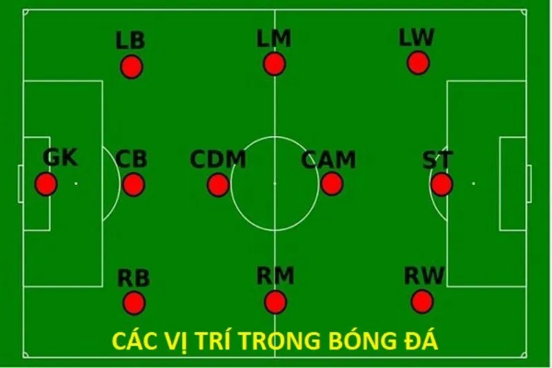 LM là vị trí nào? Gallery 1