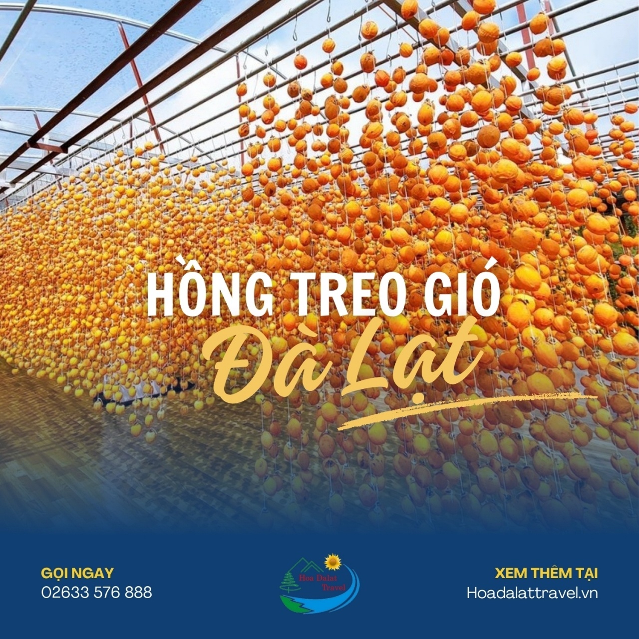 Vườn Hồng Treo Gió Đà Lạt Gallery 1