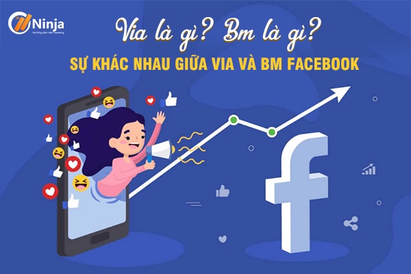 VIA là gì? BM là gì?