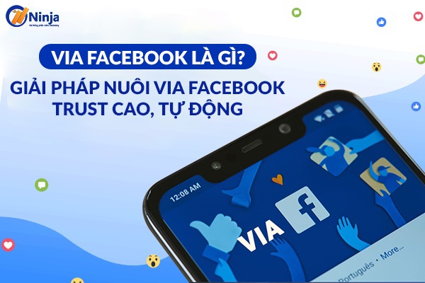 VIA là gì? BM là gì? Gallery 1