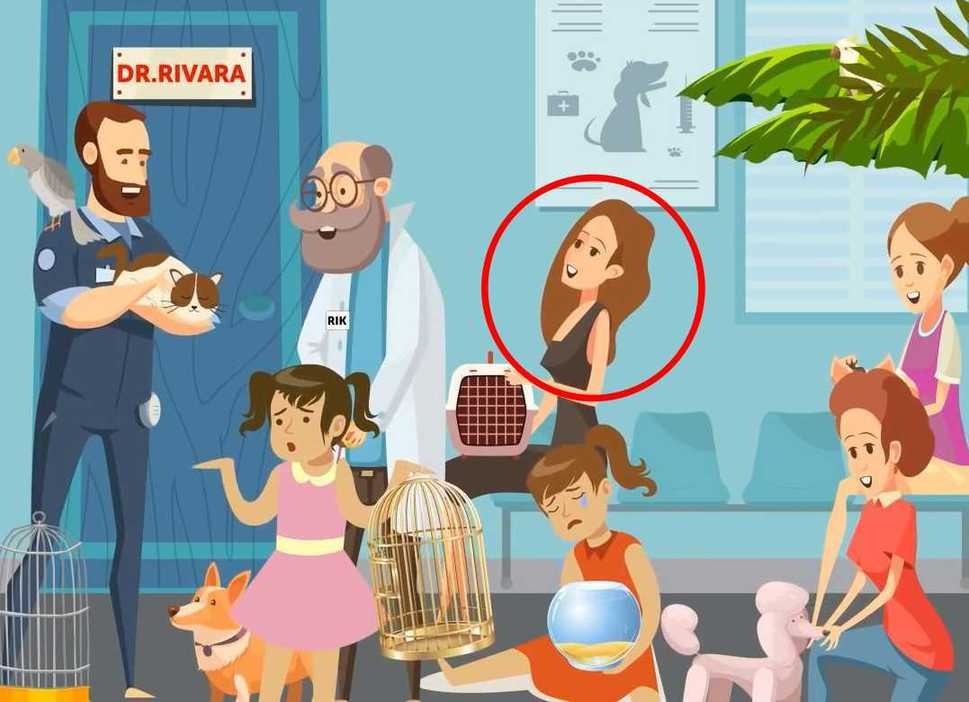 Câu chuyện có thật về việc tôi tìm thấy chú mèo bị bỏ rơi và cuộc sống mới của nó Gallery 1