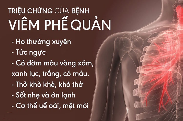 Viêm Phế Quản Mạn Tính Có Nguy Hiểm Không? Gallery 1