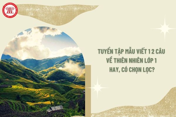 Viết 1-2 câu về thiên nhiên tiếng Việt lớp 1