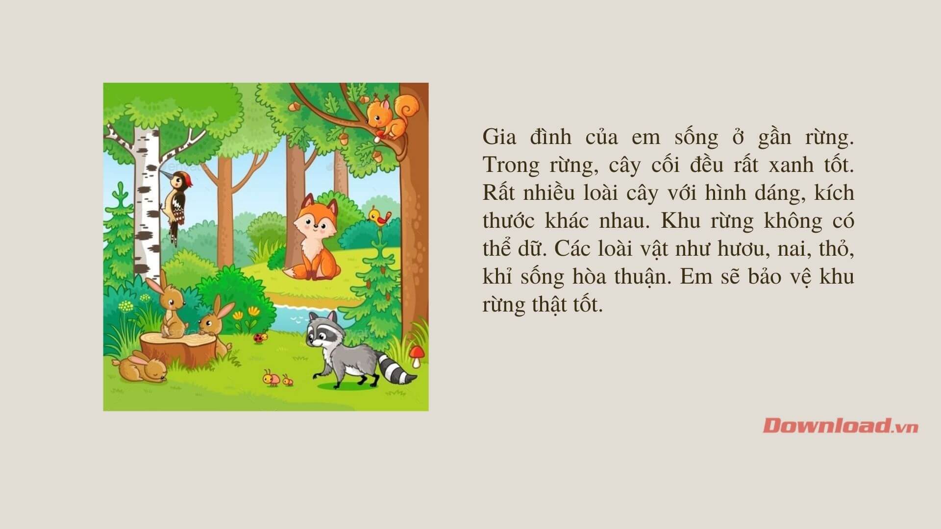 Khu Rừng Vui Vẻ: Thế Giới Kỳ Diệu Đầy Màu Sắc