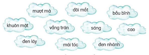 Viết 5 Từ Chỉ Đặc Điểm