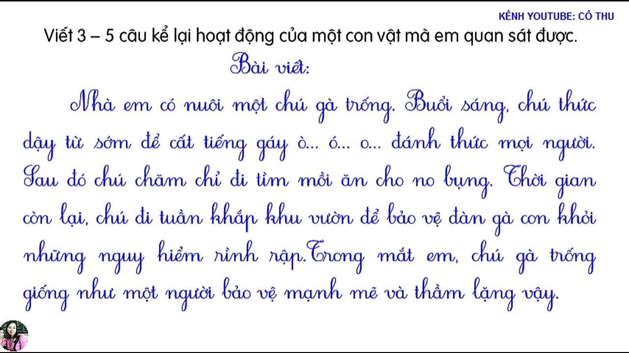 Hoạt động của chú mèo nhà tôi