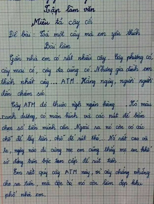 Viết Bài Văn Miêu Tả Cây Cối