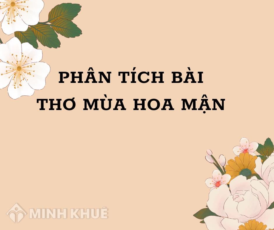 Phân tích đánh giá bài thơ Mùa hoa mận của Chu Thùy Liên