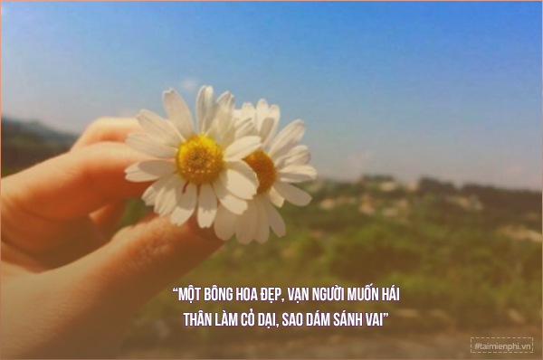 Viết Cap Facebook Hay và Thu Hút: Bí Quyết Có Hàng Triệu Lượt Thích