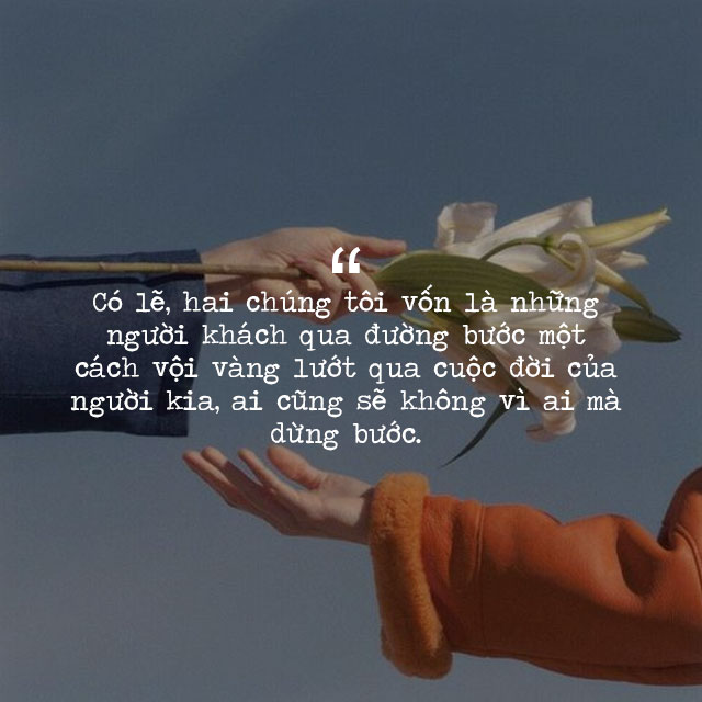Viết Caption Hay và Thu Hút: Bí Quyết Chinh Phục Người Xem