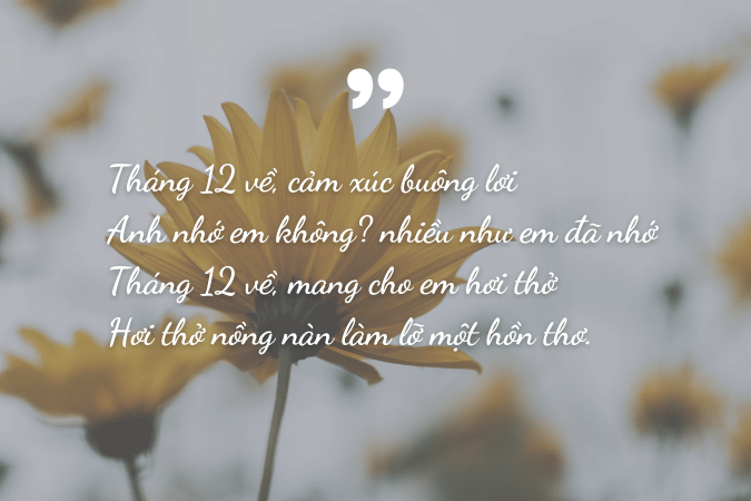 Gợi ý hoạt động tháng 12: Những trải nghiệm tuyệt vời đón Giáng sinh và Năm mới