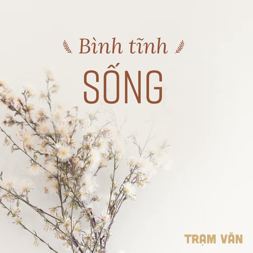 Viết đoạn văn 200 chữ về bình tĩnh sống
