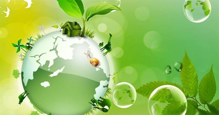 Sống Có Trách Nhiệm