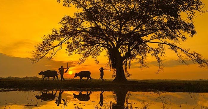 Sống Vì Người Khác: Ý Nghĩa Và Hành Động