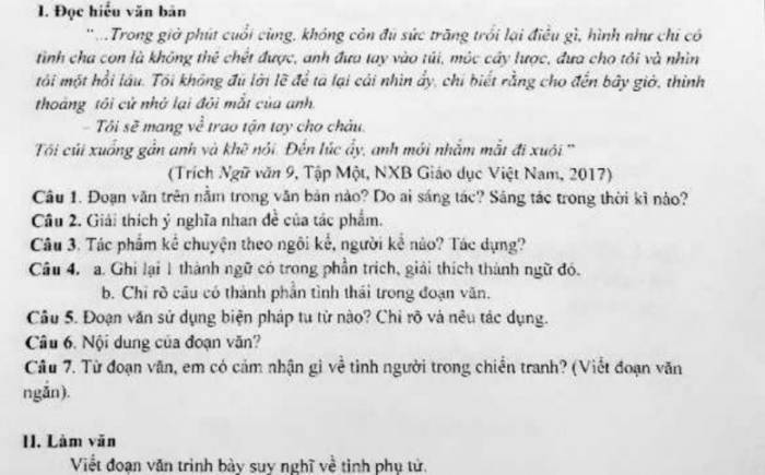 Viết đoạn văn 5-7 câu về tình phụ tử Gallery 2