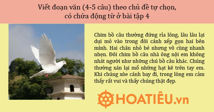 Hướng dẫn viết đoạn văn chủ đề tự chọn hay và ấn tượng