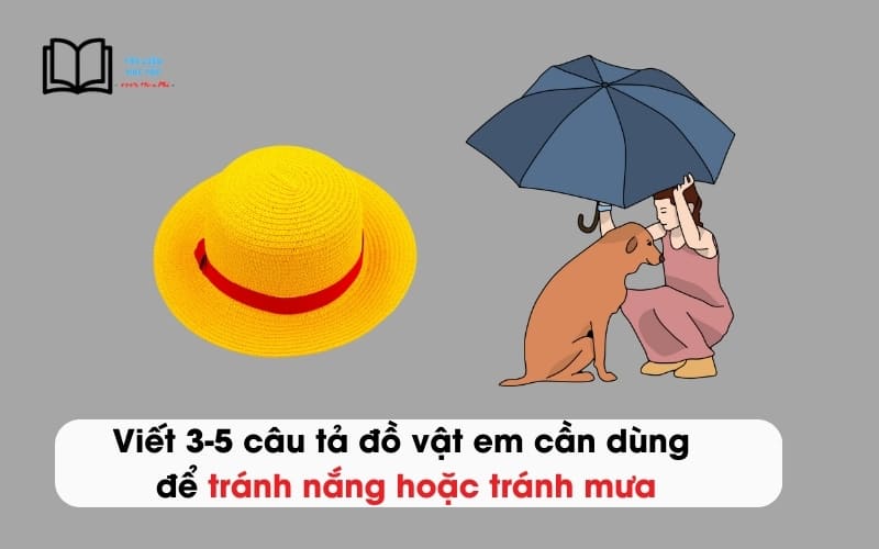 Ô Dù - Người Bạn Đồng Hành Che Chở Nắng Mưa Gallery 1