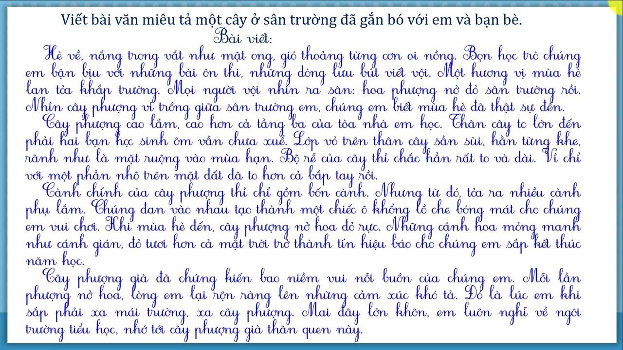 Viết đoạn văn tả cây phượng Gallery 2