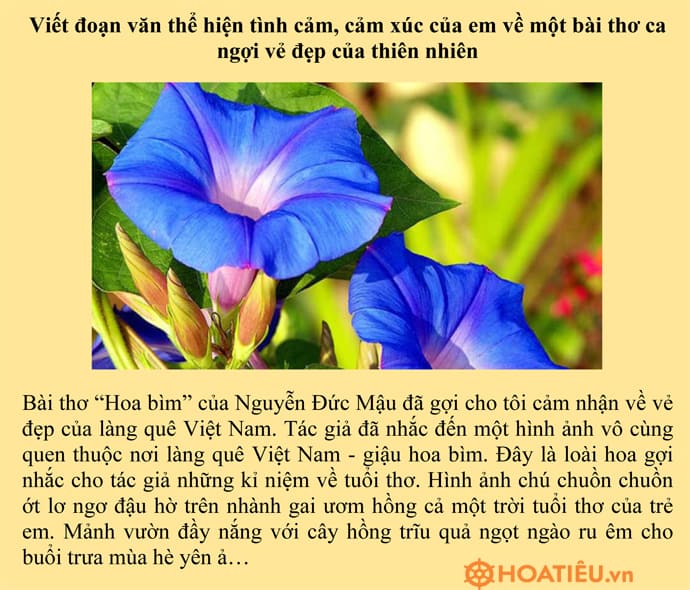Viết đoạn văn thể hiện tình cảm cảm xúc của em về một bài thơ ca ngợi vẻ đẹp của thiên nhiên