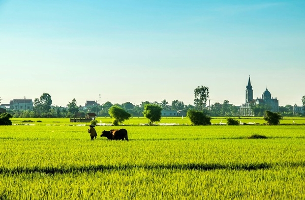 Viết đoạn văn về quê hương Thái Bình