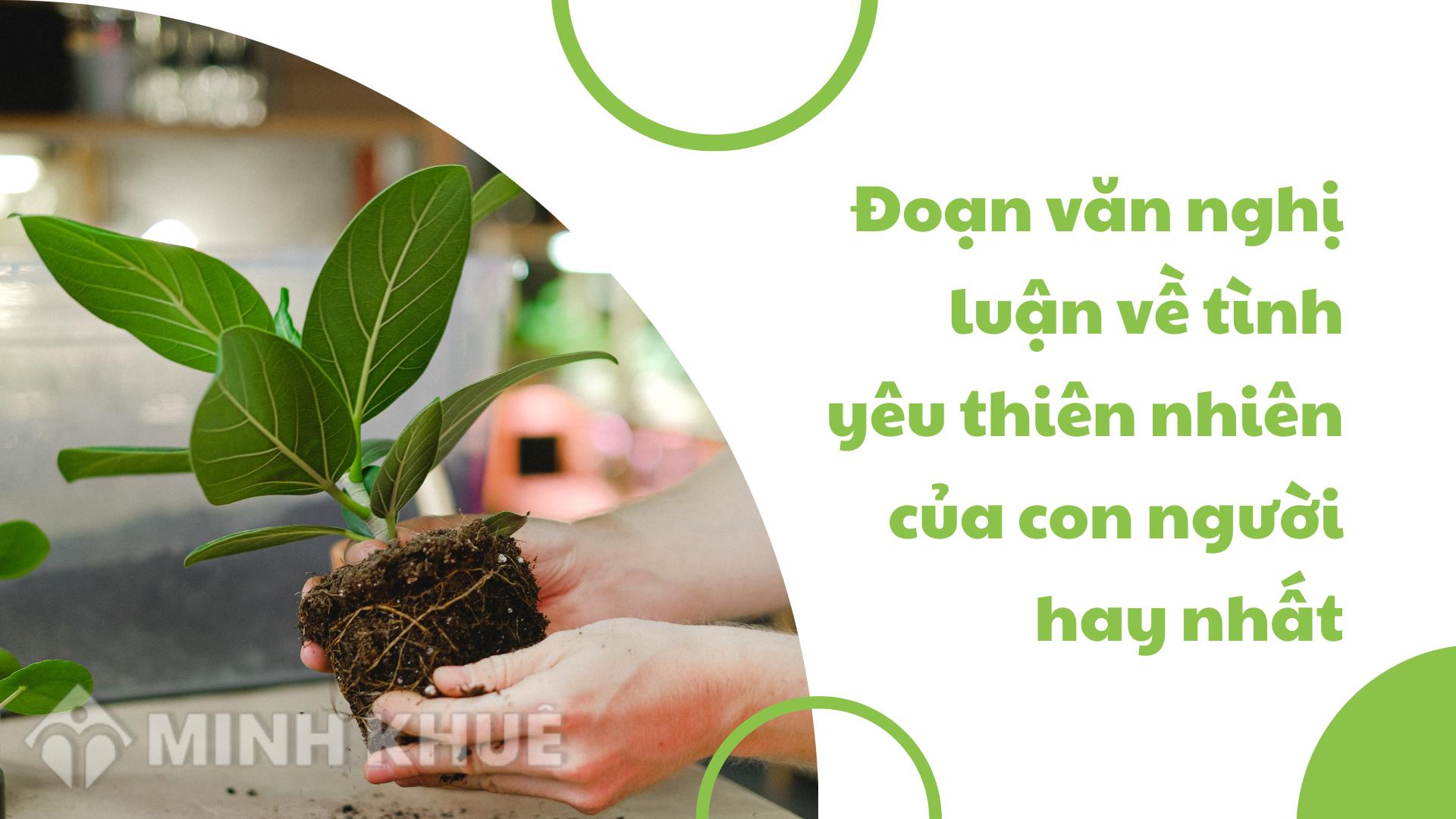 Viết đoạn văn về tình yêu thiên nhiên lớp 7 Gallery 2