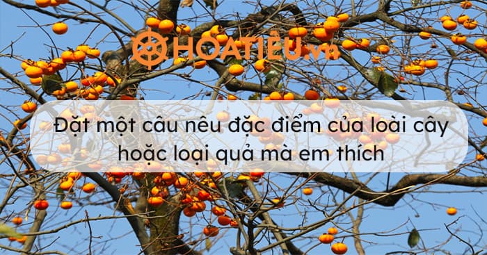 Đặc điểm của một loài cây mà em biết (Lớp 1) Gallery 2