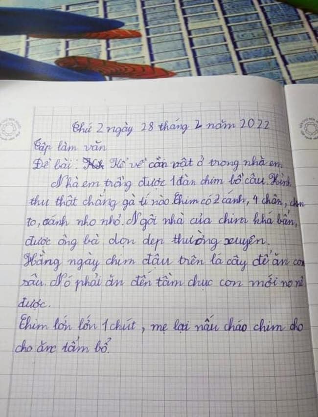 Miêu tả về con mèo cưng của em Gallery 1