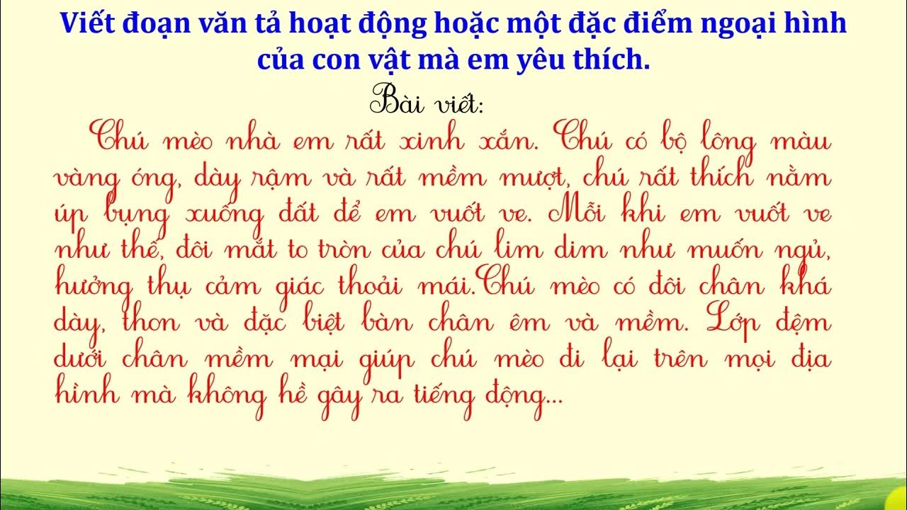 Miêu tả Ngoại Hình Con Mèo Cưng