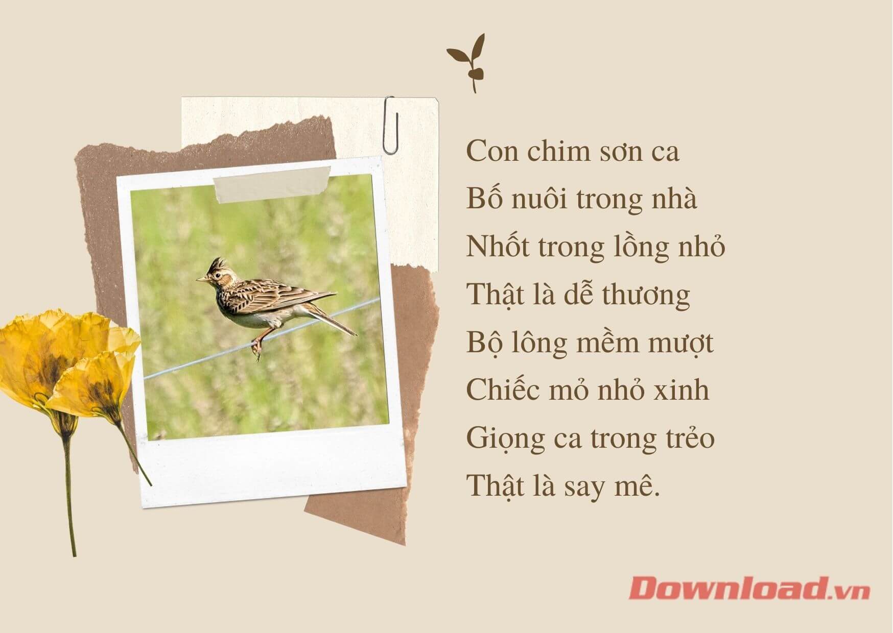 Viết một đoạn văn ngắn kể về một con vật nuôi mà em yêu thích Gallery 2