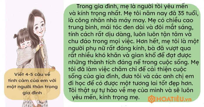 Viết một đoạn văn ngắn từ 3 đến 5 câu về tình cảm của em đối với mẹ Gallery 1