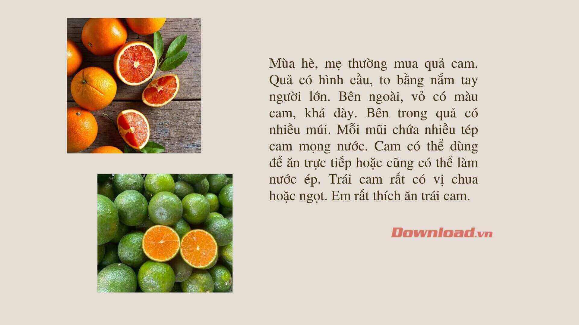 Đoạn Văn Tả Loại Quả Em Thích (Lớp 2)