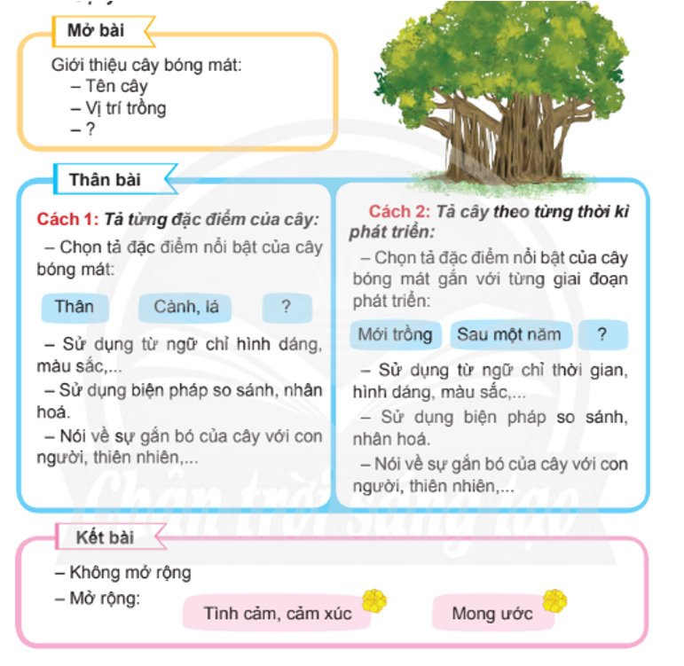 Viết một đoạn văn tả về cây bóng mát Gallery 2