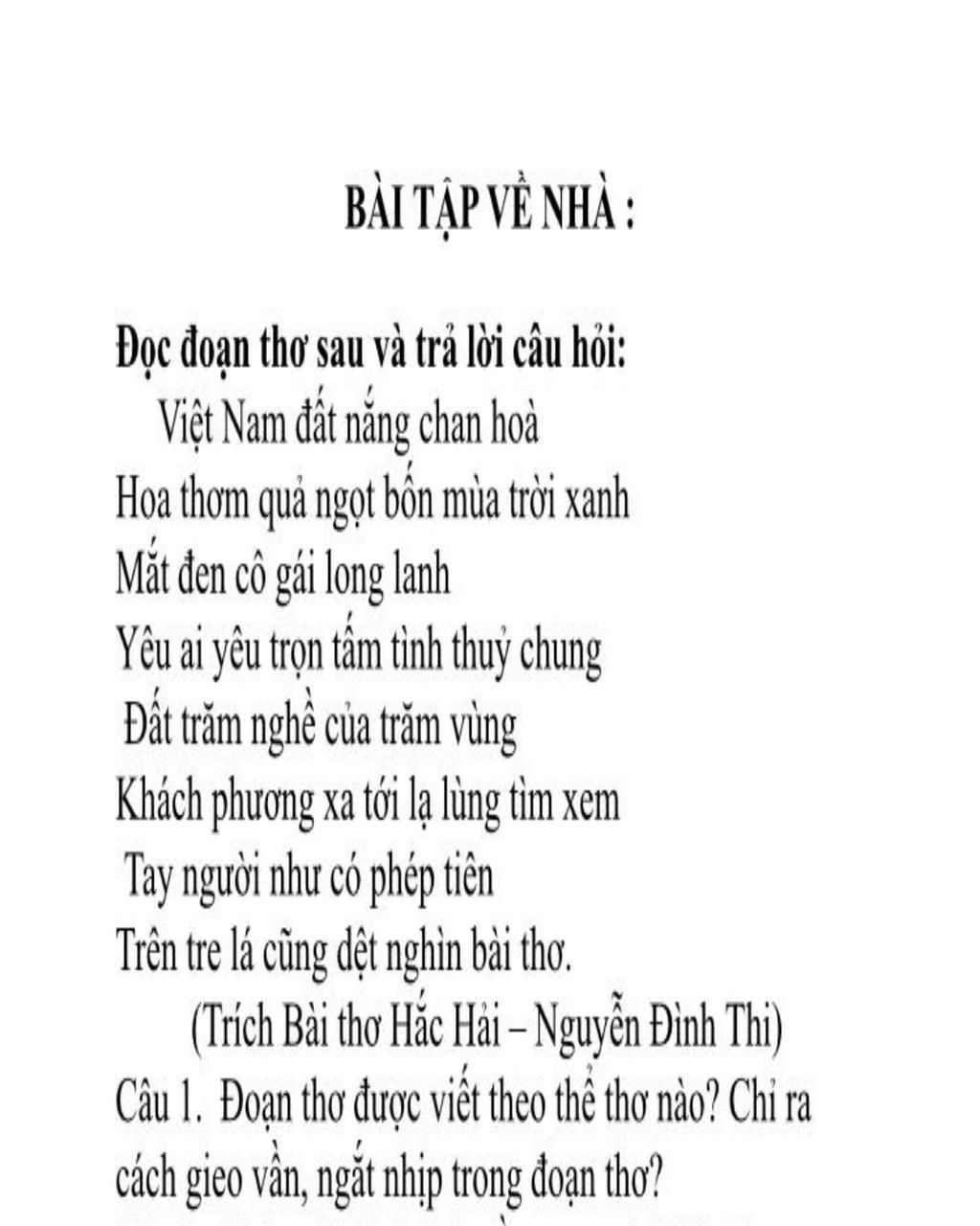 Việt Nam đất nắng chan hòa