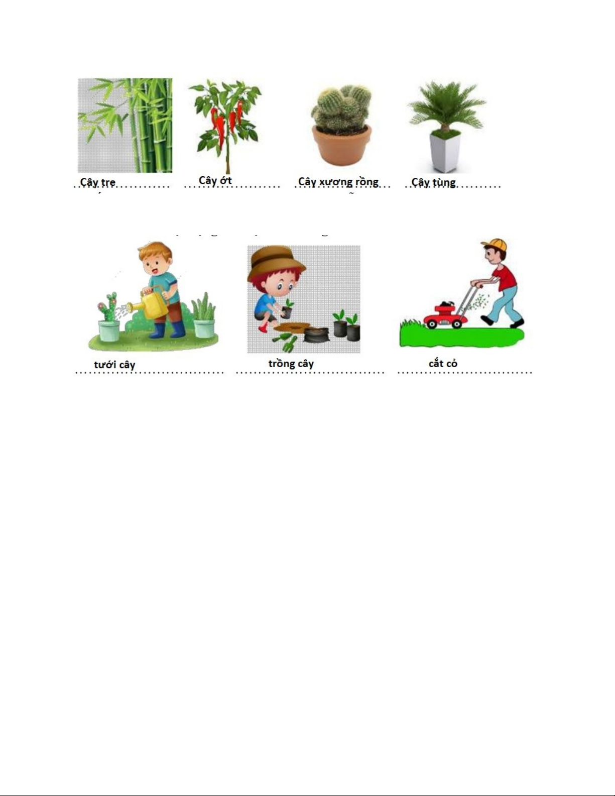 Viết từ ngữ chỉ cây cối dưới mỗi hình