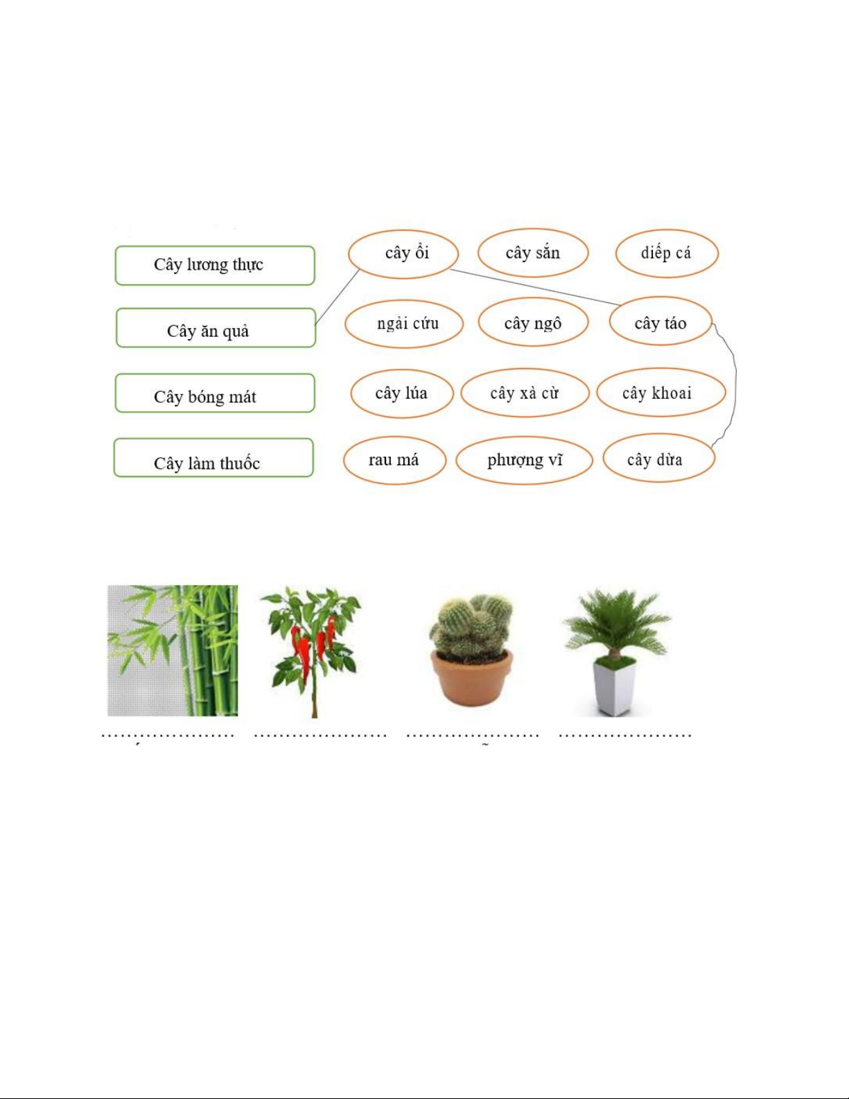 Viết từ ngữ chỉ cây cối dưới mỗi hình Gallery 2