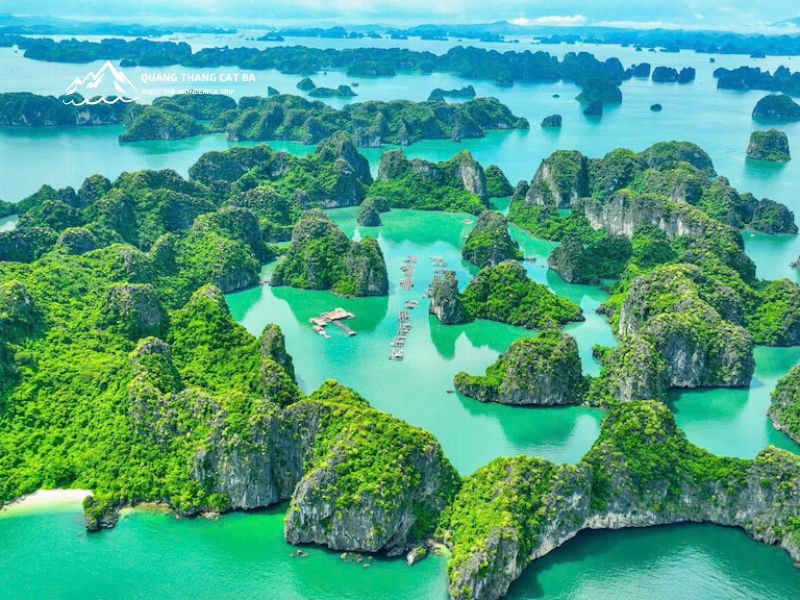 Vịnh Hạ Long có bao nhiêu hòn đảo?