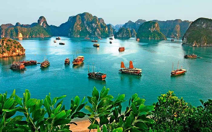 Vịnh Hạ Long Có Gì Đặc Biệt?