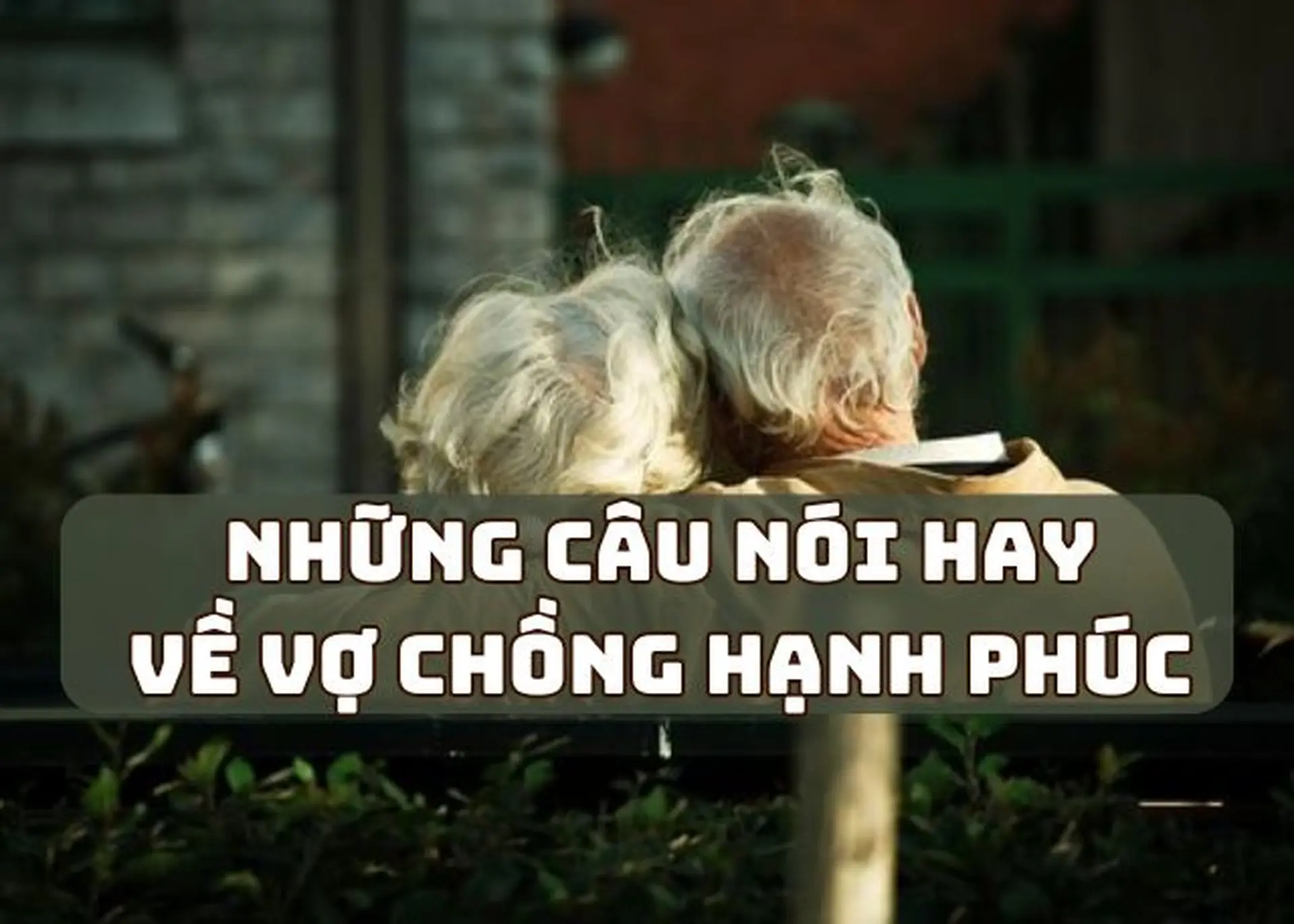 Những câu nói hay về vợ chồng hạnh phúc